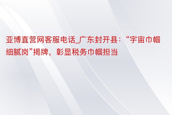 亚博直营网客服电话_广东封开县：“宇宙巾帼细腻岗”揭牌，彰显税务巾帼担当