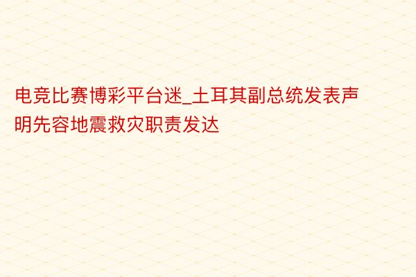 电竞比赛博彩平台迷_土耳其副总统发表声明先容地震救灾职责发达